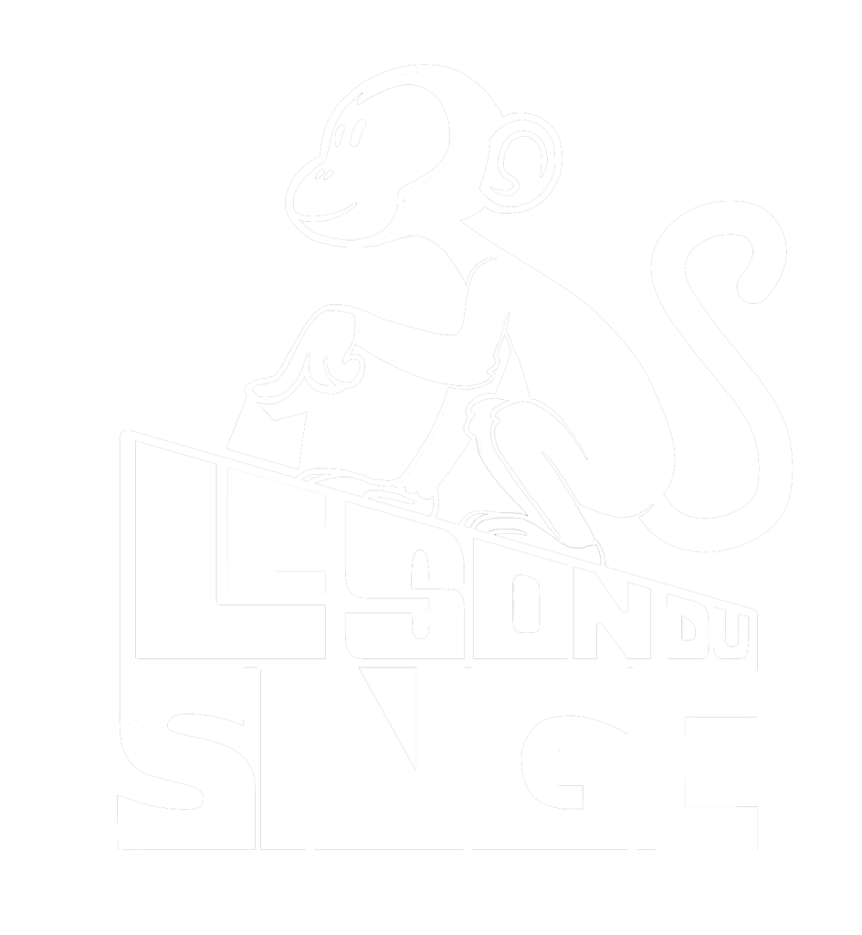 Logo Le Son du Singe